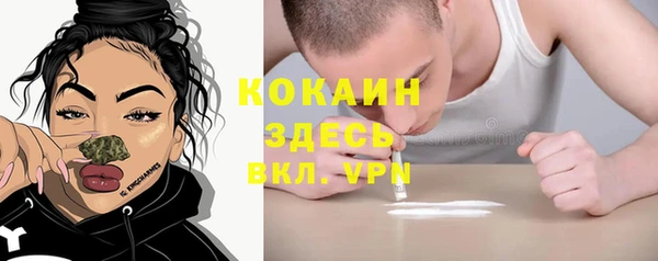 гидра Белоозёрский