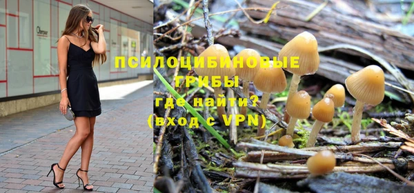 прущий лед Богородск