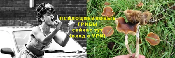 гашиш Белокуриха