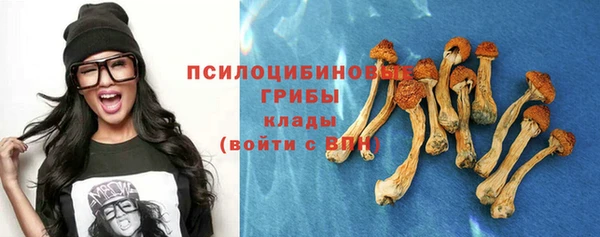 круглые Богородицк