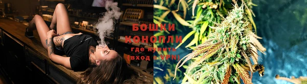 ALPHA PVP Беломорск