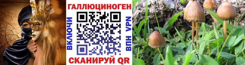 блэк спрут ТОР Высоковск Псилоцибиновые грибы ЛСД